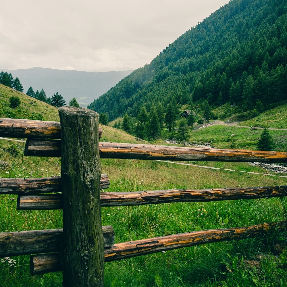 Grand County, Colorado Fencing