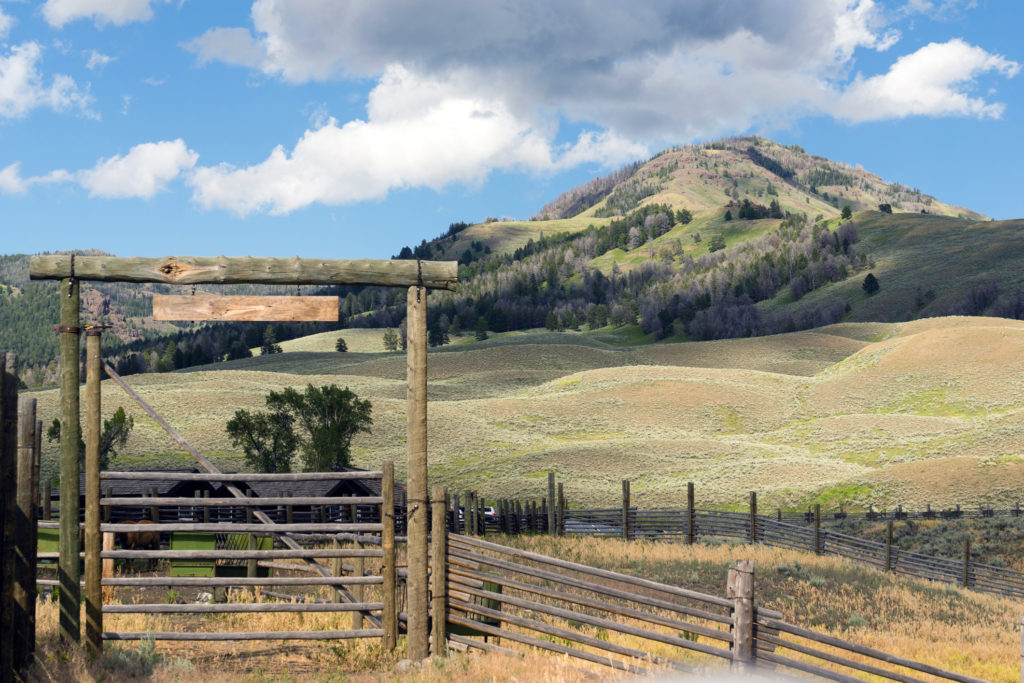 Horse & Ranch Fence | Grand County, Colorado